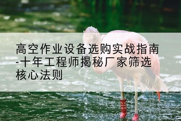 繁昌剪叉式升降机厂家-高空作业设备选购实战指南-十年工程师揭秘厂家筛选核心法则