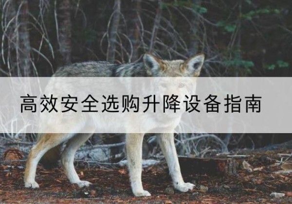 繁昌升降货梯厂家推荐-*安全选购升降设备指南