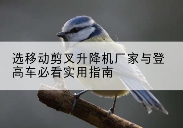 繁昌电动升降机厂家-选移动剪叉升降机厂家与登高车必看实用指南