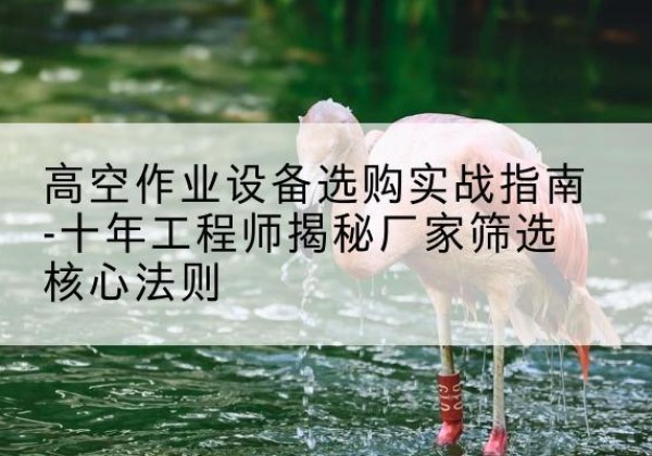 繁昌剪叉式升降机厂家-高空作业设备选购实战指南-十年工程师揭秘厂家筛选核心法则
